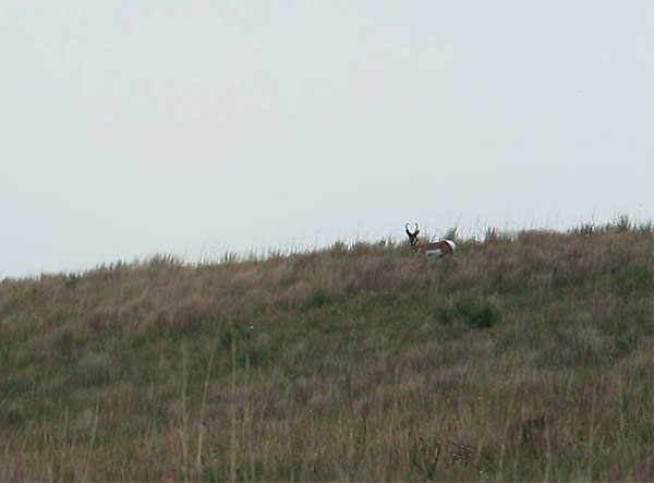 2016 Archery Antelope Hunt at The Rackett